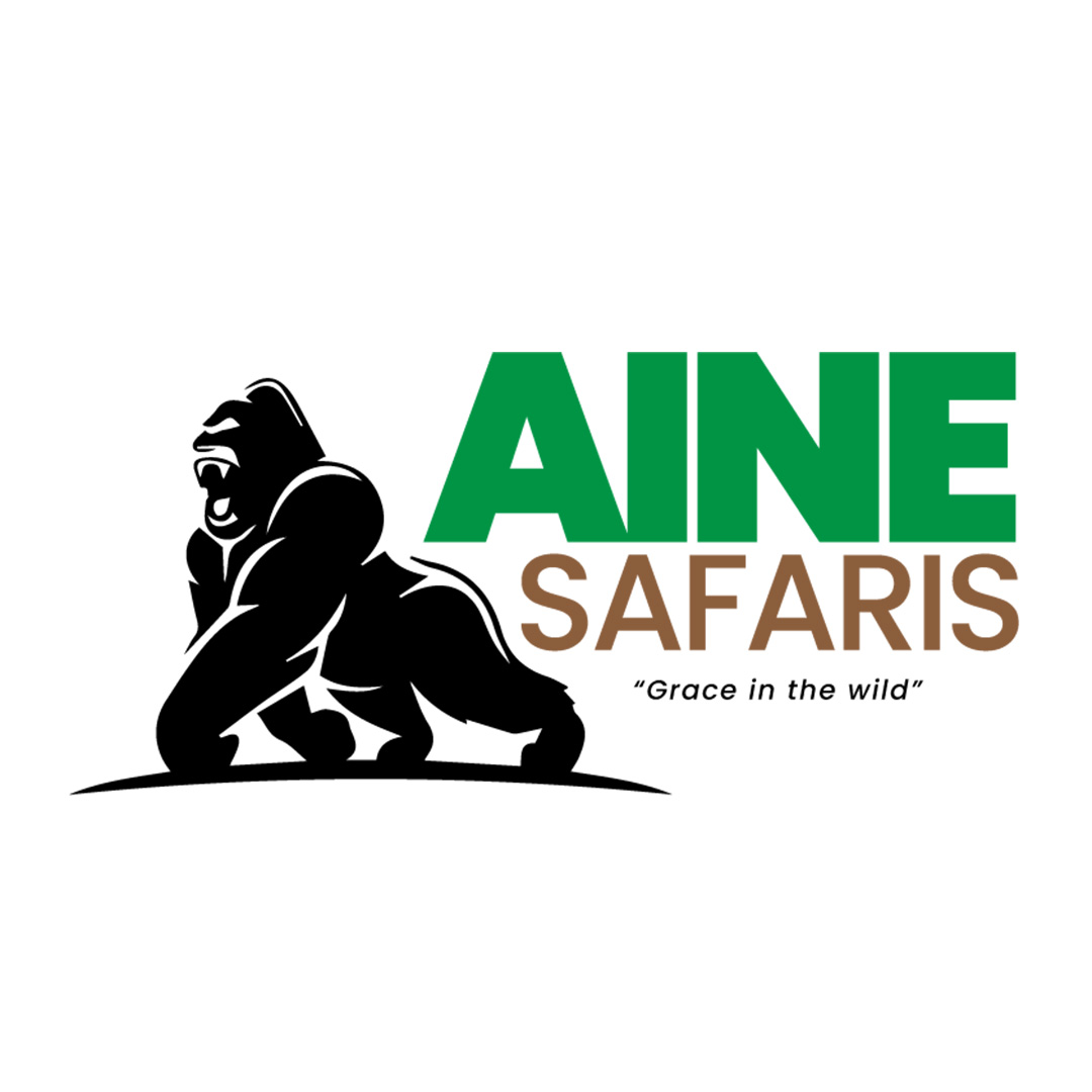 Aine Safaris